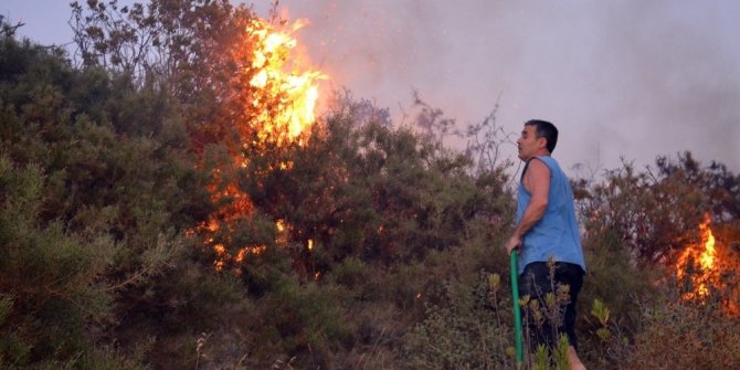 YAZLIKÇILARI KORKUTAN YANGIN