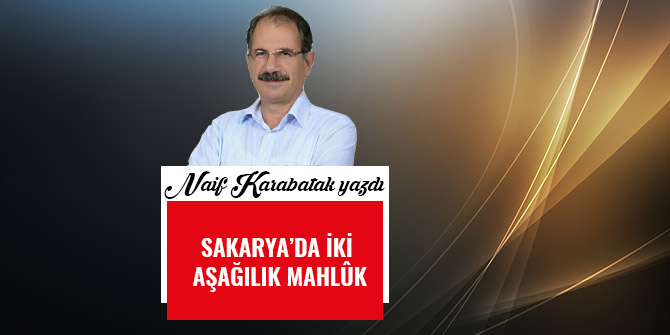 SAKARYA’DA İKİ AŞAĞILIK MAHLÛK