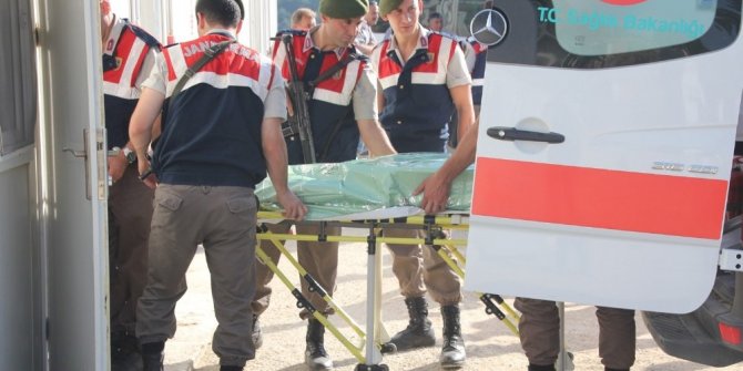 KÜTAHYA’DA VAHŞET