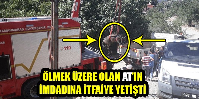 ÖLMEK ÜZERE OLAN ATIN İMDADINA İTFAİYE YETİŞTİ