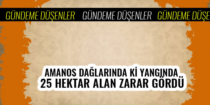 AMANOS DAĞLARINDA Kİ YANGINDA 25 HEKTAR ALAN ZARAR GÖRDÜ