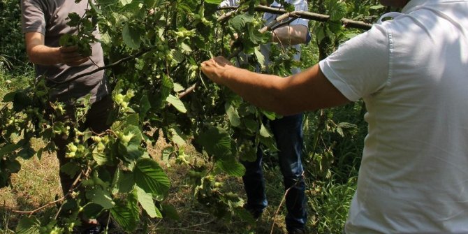TÜRKİYE’DE 90 GÜN İZİNSİZ ÇALIŞABİLECEKLER