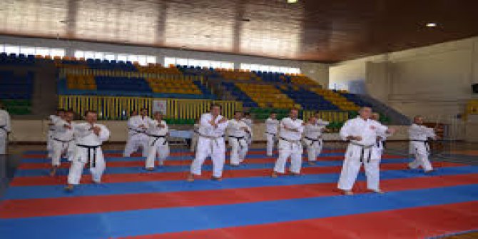 15 TEMMUZ DEMOKRASİ ZAFERİ KARATE TURNUVASI BAŞLADI