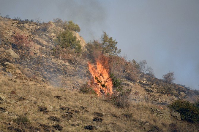 5 HEKTAR ALAN ZARAR GÖRDÜ