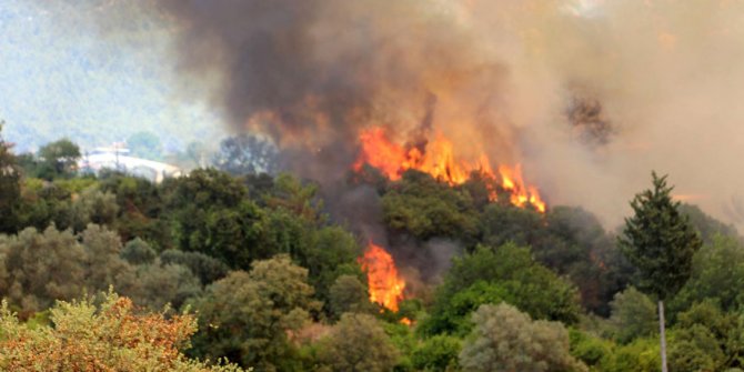 HATAY'DA 1,5 HEKTARLIK ALAN ZARAR GÖRDÜ