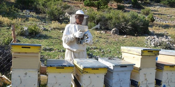 AKSEKİ BALI KOVANDAN ÇIKMADAN SATILIYOR