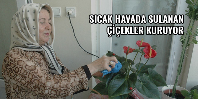 SICAK HAVADA SULANAN ÇİÇEKLER KURUYOR
