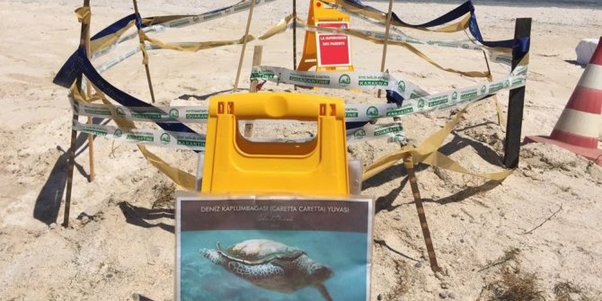 CARETTA CARETTA YUMURTA ALANLARI KORUMA ALTINDA