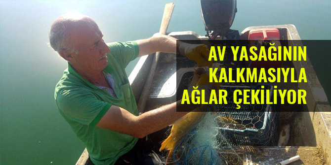AV YASAĞININ KALKMASIYLA AĞLAR ÇEKİLİYOR