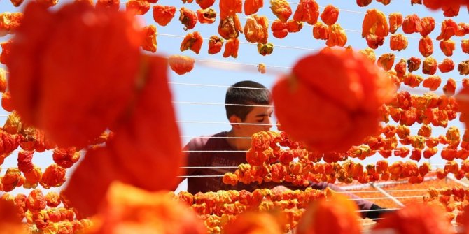SICAK HAVA EN ÇOK ONLARIN YÜZÜNÜ GÜLDÜRÜYOR
