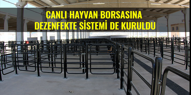 CANLI HAYVAN BORSASINA DEZENFEKTE SİSTEMİ DE KURULDU