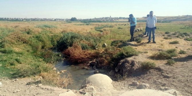 NUSAYBİN’DE TERÖRİSTLERİN KULLANDIĞI TÜNEL BULUNDU