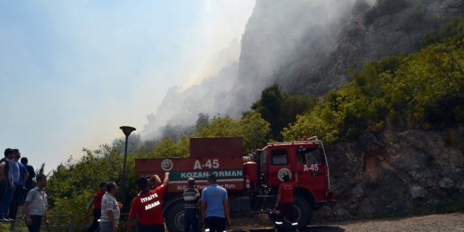 TARİHİ KALE YAKININDA ORMAN YANGINI