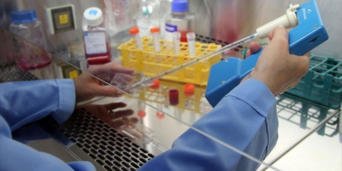 ABD'DE İLK KEZ İNSAN GENİ EMBRİYOSU DEĞİŞTİRİLDİ