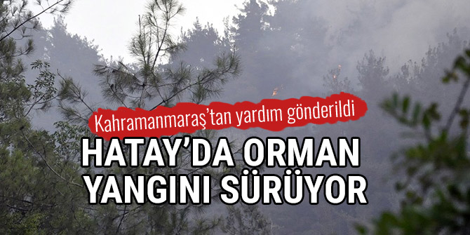 HATAY’DA ORMAN YANGINI SÜRÜYOR