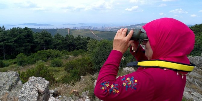 ORMANLAR AYDA TEYZEYE EMANET