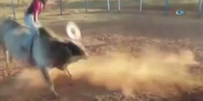 KIZGIN BOĞANIN TEKMELERİ RODEOCUYU ÖLDÜRDÜ