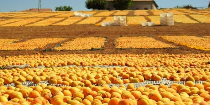 MALATYA SARIYA BOYANDI