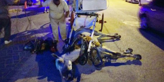 VİCDANSIZ FAYTONCUNUN ÇALIŞMA İZNİ İPTAL EDİLDİ