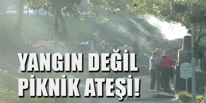 YANGIN DEĞİL PİKNİK ATEŞİ