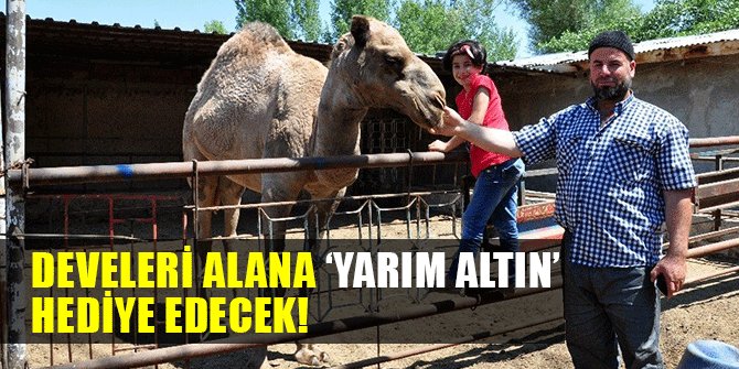 DEVELERİ ALANA YARIM ALTIN HEDİYE EDECEK