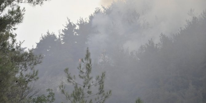 HATAY’DA ORMANDA YANGIN ÇIKTI