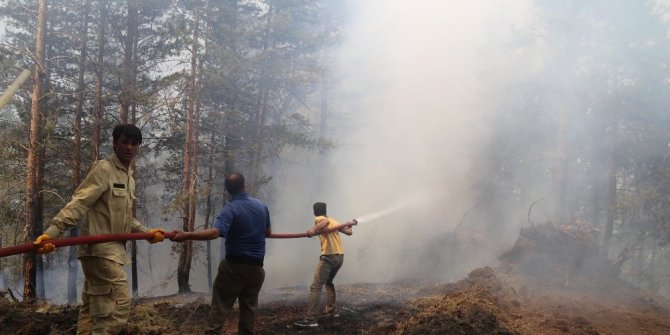 3 GÜNDÜR SÜREN YANGIN İÇİN HALKTAN YARDIM İSTENDİ
