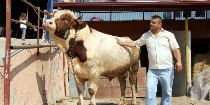 FİYATI DUDAK UÇUKLATTI
