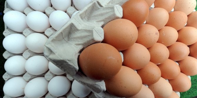 HOLLANDA’DA ZEHİRLİ YUMURTA SKANDALINDA 2 GÖZALTI