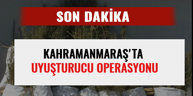 KAHRAMANMARAŞ'TA UYUŞTURUCU OPERASYONU