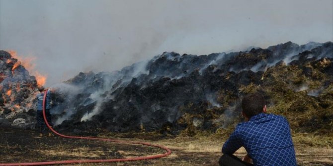 BESİCİNİN UMUDU OTLAR YANGINDA KÜL OLDU