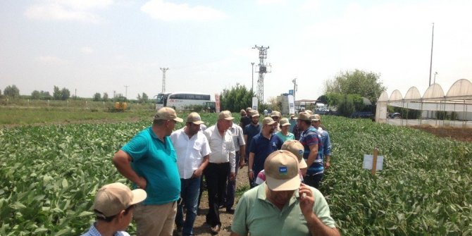 MAY TOHUM TARIM SEKTÖRÜNDE AR-GE’YE EN ÇOK YATIRIMI YAPAN FİRMA