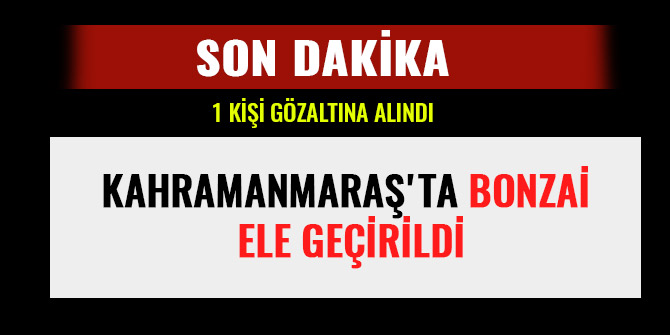 KAHRAMANMARAŞ'TA BONZAİ ELE GEÇİRİLDİ