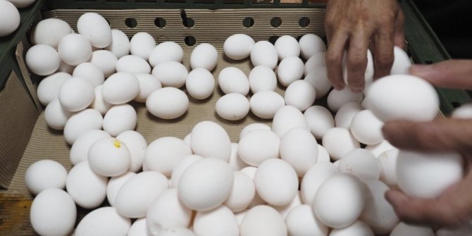 YUMURTA KRİZİ BİR ÜLKEYE DAHA SIÇRADI