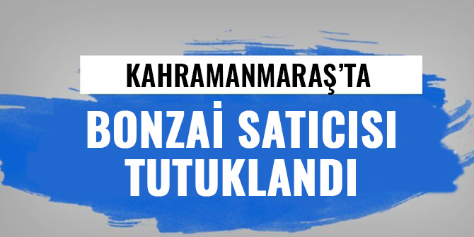 KAHRAMANMARAŞ'TA BONZAİ SATICISI TUTUKLANDI
