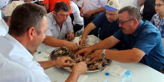 OĞLAKLARA ’KURT’ GİBİ SALDIRDILAR