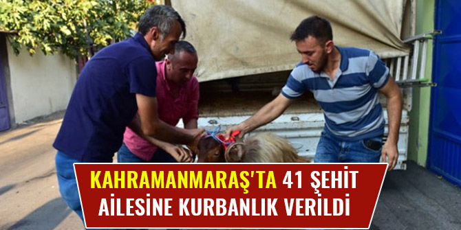 KAHRAMANMARAŞ'TA 41 ŞEHİT AİLESİNE KURBANLIK VERİLDİ
