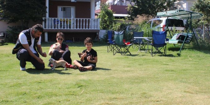 BAYRAM TATİLİNDE KÖPEK PANSİYONLARI DOLDU