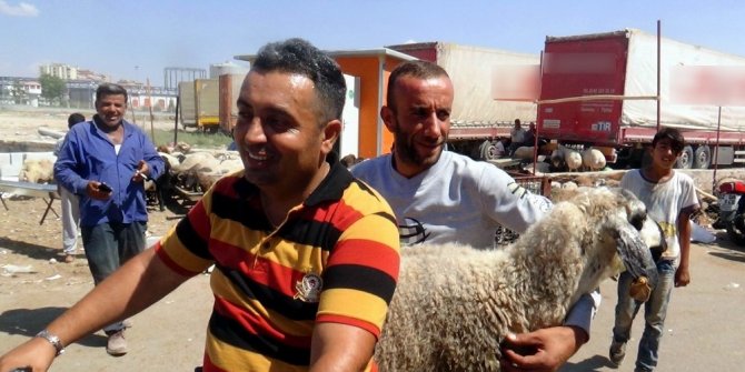 KURBANLIKLAR MOTOSİKLETLE TAŞINIYOR