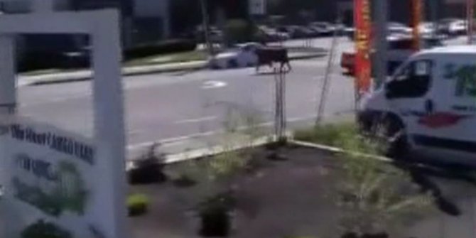 NEW YORK SOKAKLARINDA ’KURBANLIK’ KOVALAMACASI