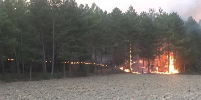 BOLU’DA ORMAN YANGINI