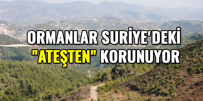 ORMANLAR SURİYE'DEKİ "ATEŞTEN" KORUNUYOR