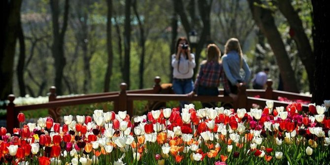 SONBAHARDA SICAKLIKLAR MEVSİM NORMALLERİNİN ÜZERİNDE OLACAK