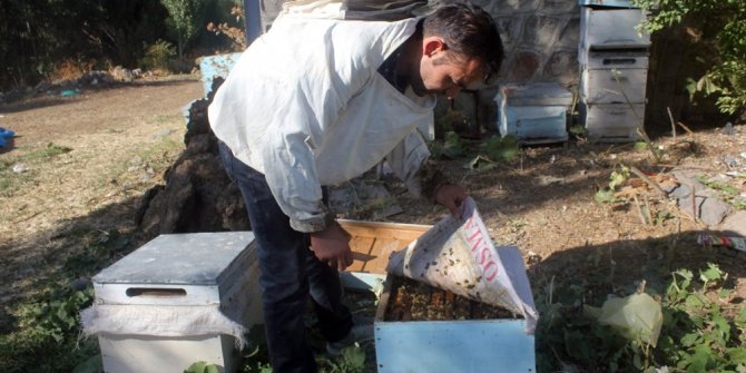 2 MİLYON ARI TELEF OLDU