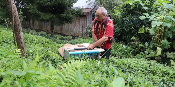 GELİŞTİRDİĞİ MAKİNEYLE GÜNDE 1 TON ÇAY TOPLUYOR