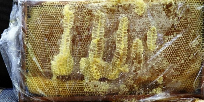 BAL PETEĞİNDE ARAPÇA ALLAH YAZIYOR