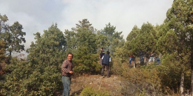 DOMANİÇ’TEKİ ORMAN YANGINI KONTROL ALTINA ALINDI