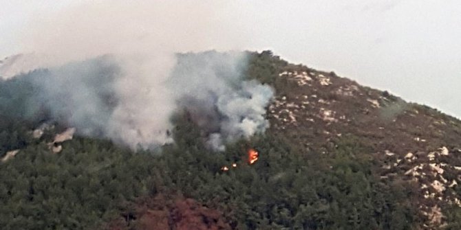 MİLAS’TA ORMAN YANGINI