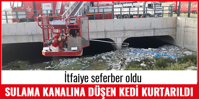 SULAMA KANALINA DÜŞEN KEDİ İTFAİYE MERDİVENİYLE KURTARILDI