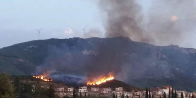 AYDIN’DA 3 AYRI YERDE ORMAN YANGINI